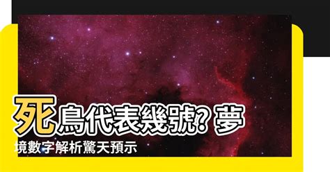 死鳥代表幾號